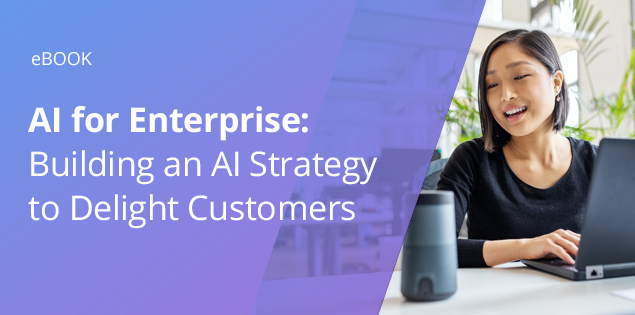 AI for Enterprise: Building an AI Strategy to Delight Customers